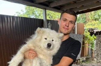 «Ми знайшли песика!» – у «Новій пошті» відшукали собаку, якого раніше вигнали з відділення