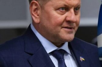 МЗС відреагувало на резонансну заяву Валерія Залужного про НАТО