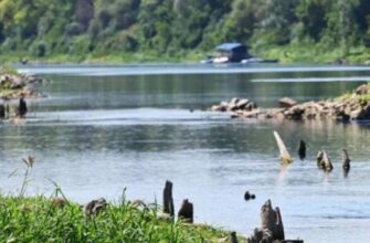 «Тиса відступає» — річка через обміління показала залишки давніх мостів