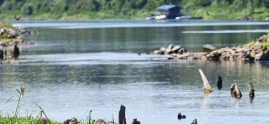 «Тиса відступає» — річка через обміління показала залишки давніх мостів