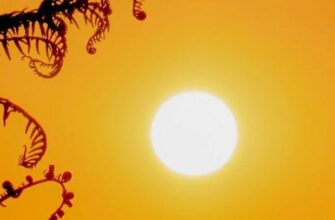 Готуйтеся до +40°C: синоптики назвали області, де спека сягне критичних позначок