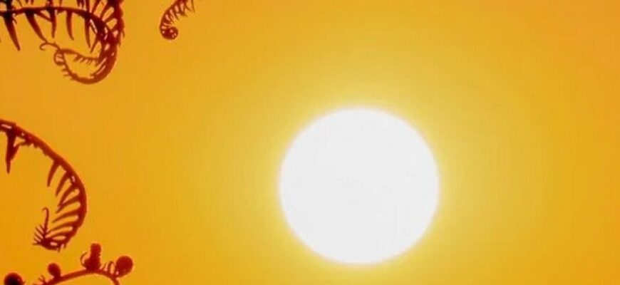 Готуйтеся до +40°C: синоптики назвали області, де спека сягне критичних позначок