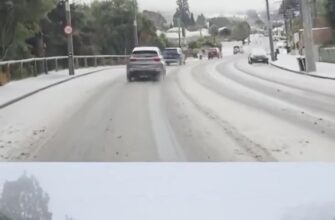 Аномальна зима у Веллінгтоні: столицю Нової Зеландії вперше за 15 років засипало снігом