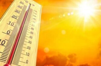 Справжнє пекло: Україну накриває аномальна спека до +40 градусів 🥵