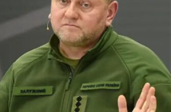 «Я за НАТО» — Залужний пояснив свої слова про відсутність перспектив вступу України