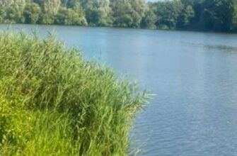 На Харківщині рибалка загинув від удару струмом, зачепившись гачком за провід