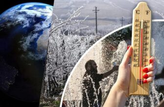 Кого найбільше вражає аномальна спека у сучасних містах