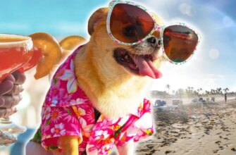Спека до +33°C: синоптики попередили про нові кліматичні ризики в Україні