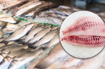 Риба з «сюрпризом»: у яких популярних видах морської продукції прихована ртуть