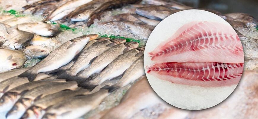 Риба з «сюрпризом»: у яких популярних видах морської продукції прихована ртуть
