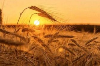 Щоб хвороби та негаразди пішли з дому: що робили 17 серпня наші предки