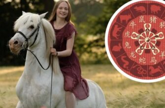Чотири знаки китайського гороскопа подолають невдачі 4 серпня