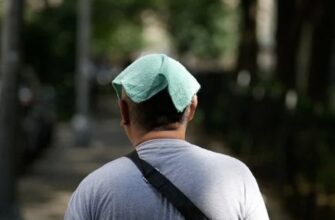 Спека до 40 градусів в Україні стане регулярним явищем через кліматичні зміни