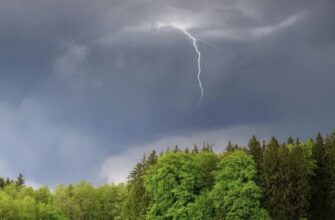 Спека відступає: синоптики розповіли про зміну температурного режиму 12 серпня