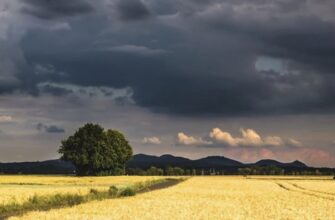 До плюс 32 градусів прогріється повітря в Україні 14 серпня: де буде найспекотніше