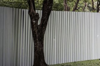 Дерева на межі: якою має бути відстань до паркану сусіда та як захистити свої права