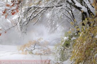 Що чекає на українців: аномальне тепло або дощі восени?
