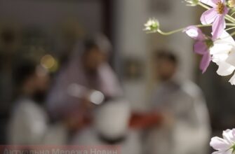 День Луппа Брусничника: чому 23 серпня не можна мити підлогу