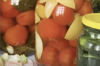 Як закрити огірки та помідори без оцту: найкращі натуральні консерванти з городу