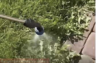 Який простий засіб із дому знищить бур’яни разом із корінням