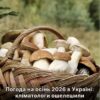 Погода в Україні восени 2026 року: кліматологи приголомшили прогнозом і впливом «супер Ель-Ніньйо»