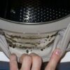 Як легко прибрати сморід і вологу з пральної машинки