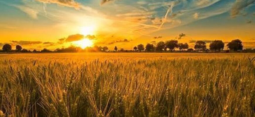 Стовпчики термометрів підуть угору 15 серпня на Рівненщині, дізнайтеся прогноз