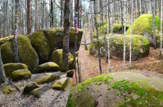 Посеред лісу в Україні виявили загадкове село з каменю, яке лякає туристів