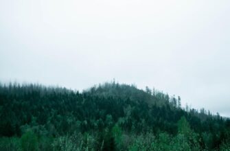 Карпати сколихнув землетрус: що відомо про сейсмічну подію