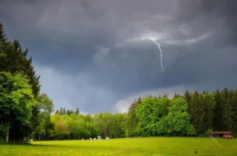 Подвійний удар стихії: синоптики попередили про небезпеку в низці українських міст (мапа)