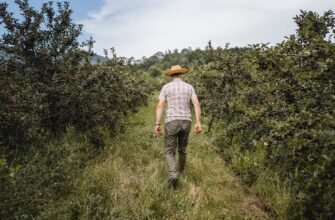 Власники земельних ділянок отримали податкові повідомлення з новими строками сплати