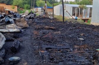 Вісім тварин загинули внаслідок масштабної пожежі у притулку Сіріус на Київщині