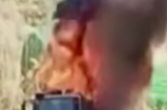 Близько 500 посилок згоріли в авто Укрпошти після удару дрона на Донеччині