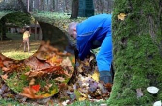 Згрібати все опале листя восени більше не радять – експерт запропонував значно безпечнішу альтернативу