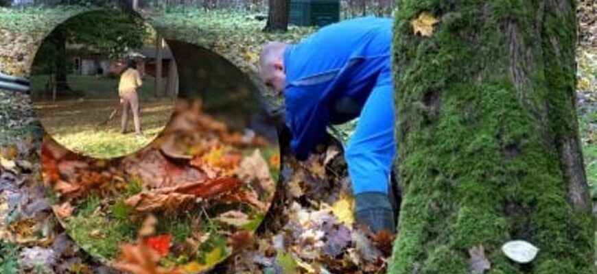 Згрібати все опале листя восени більше не радять – експерт запропонував значно безпечнішу альтернативу