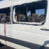 5 загиблих і 7 поранених внаслідок прямого удару російського дрона по рейсовому автобусу на Дніпропетровщині