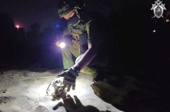 Українські дрони атакували порт Усть-Луга та Москву