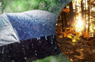 Жовтень в Україні розпочнеться з несподіваного потепління до +23 градусів