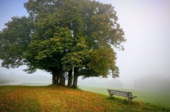 Після сонячного тепла в Україну прийде різке похолодання та дощі з атмосферними фронтами