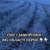 Перший сніг та нічні заморозки прийдуть в Україну вже в середині осені