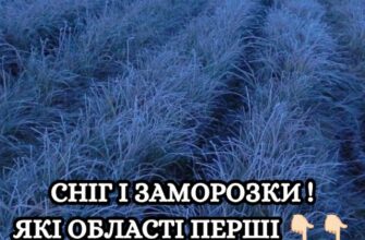 Перший сніг та нічні заморозки прийдуть в Україну вже в середині осені Перший сніг та нічні заморозки прийдуть в Україну вже в середині осені