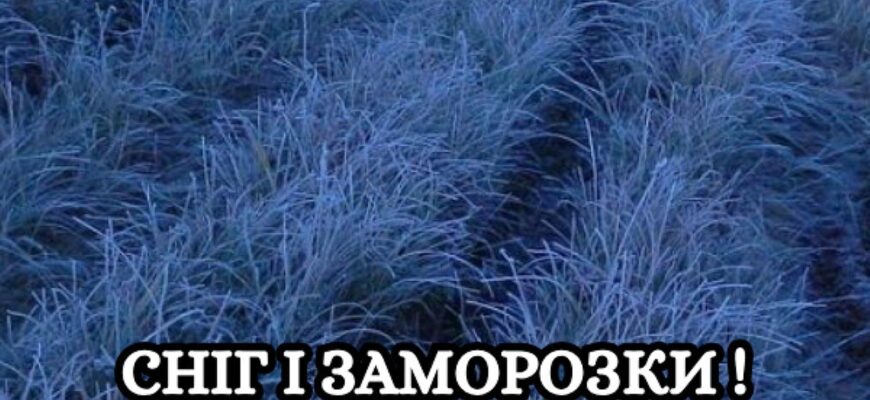 Перший сніг та нічні заморозки прийдуть в Україну вже в середині осені
