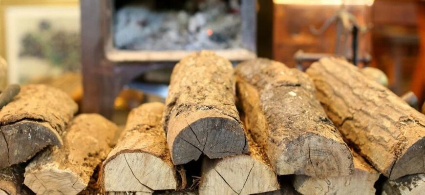 Дрова подорожчали на 15%: які нові ціни встановили на паливо