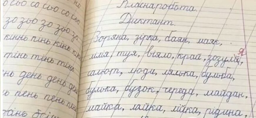 “А зараз друковані зошити і діти не вміють писати”: привіт із кінця 90-х зворушив мережу