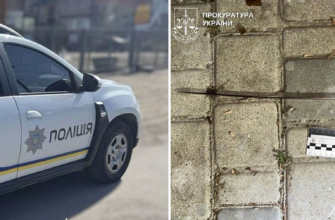 У Миколаєві жінка смертельно поранила знайомого шампуром: підозрювану взяли під варту