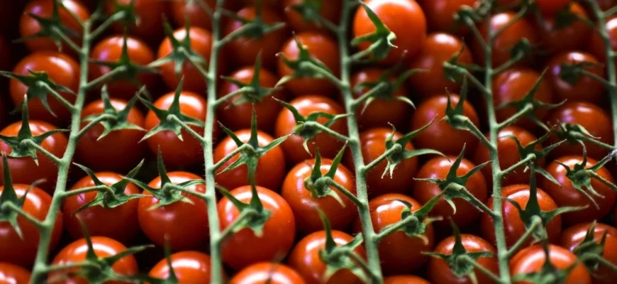 Що їдять люди, які доживають до 100 років: 5 головних продуктів для довголіття