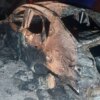 Пункт пропуску «Старокозаче» відновив роботу після атаки РФ – двоє загиблих