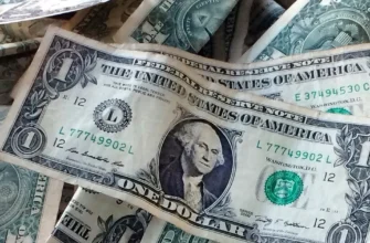 Долар подорожчав, а євро та злотий пішли вниз – оприлюднено свіжі курси валют Долар подорожчав, а євро та злотий пішли вниз – оприлюднено свіжі курси валют