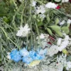 На Закарпатті дівчата поцупили квіти з кладовища для привітання вчительки