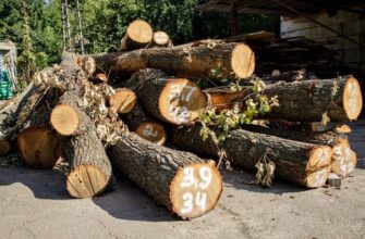 Обіцяли зберегти парк, але вночі зрізали дерева: на Теремках спалахнули сутички з поліцією